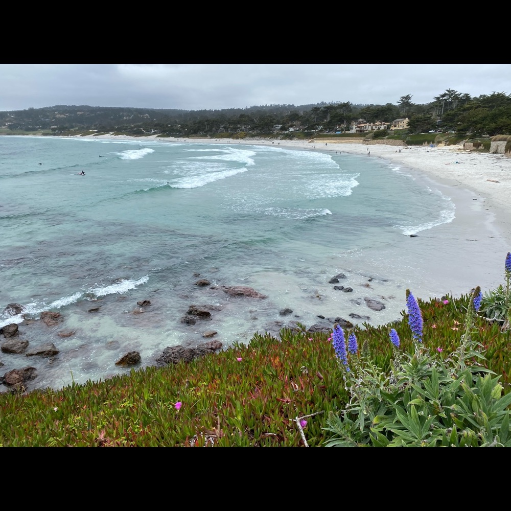 Meet your Posher, Catherine